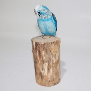 Μπλε ParakeetBird Blue Parakeet