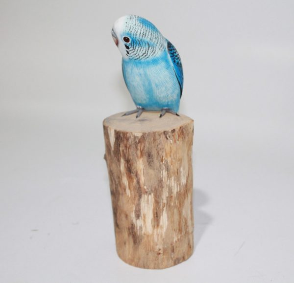 Bird Blue Parakeet