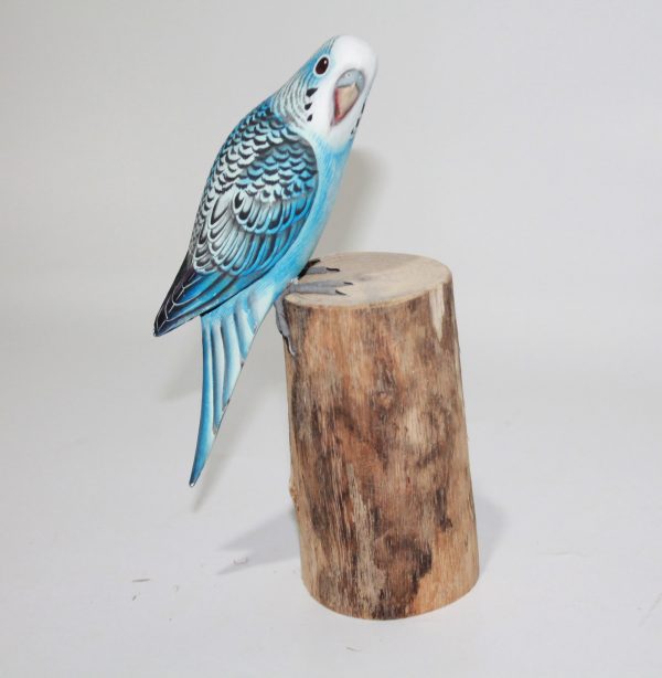 Bird Blue Parakeet