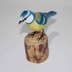 Bird Bluetit