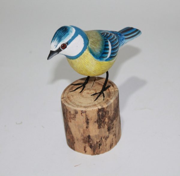 Bird Bluetit