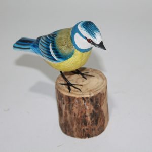 Bird Bluetit