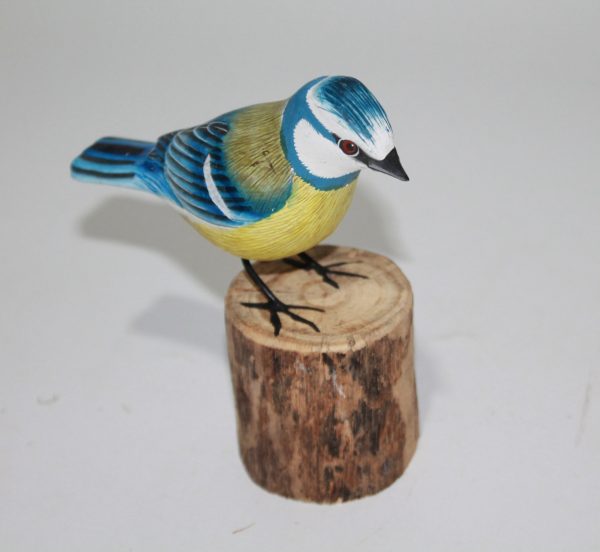 Bird Bluetit