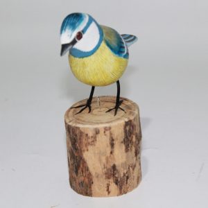 Bird Bluetit