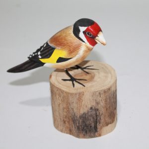 Gold Finch 1