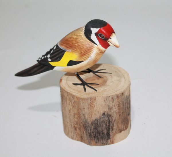 Gold Finch 1