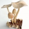 Wooden Mushroom PAR-002-C