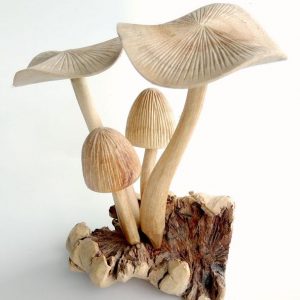 Wooden Mushroom PAR-002-CWooden Mushroom PAR-002-C