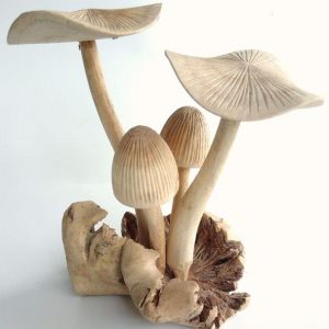 Wooden Mushroom PAR-002-C