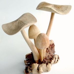 Wooden Mushroom PAR-002-C