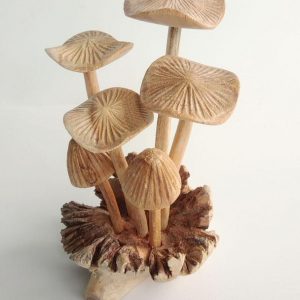 Wooden Mushroom PAR-007