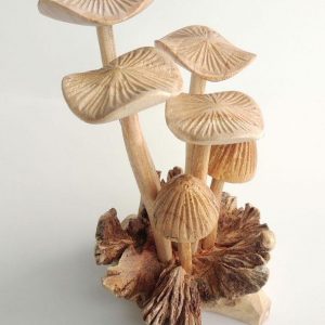 Wooden Mushroom PAR-007Wooden Mushroom PAR-007