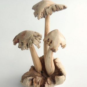 Wooden Mushroom PAR-008