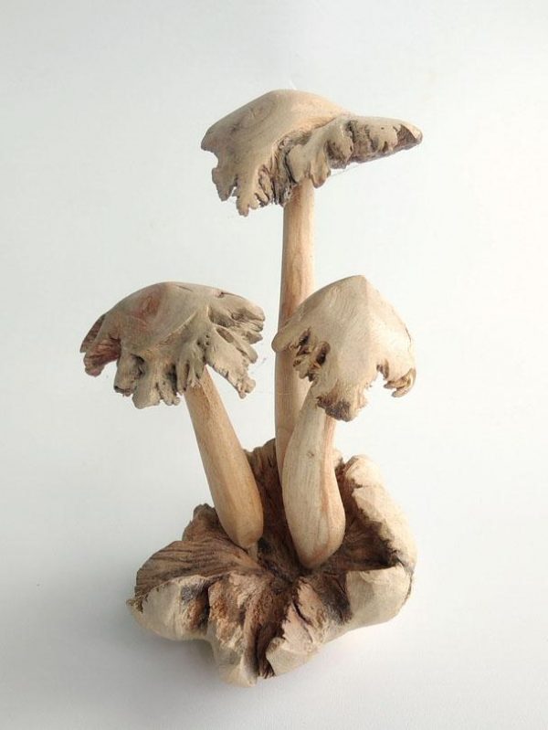 Wooden Mushroom PAR-008