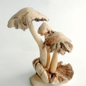 Ξύλινο μανιτάρι PAR-008Wooden Mushroom PAR-008