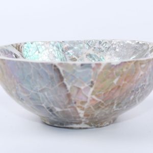 Resin and sea shell Bowl