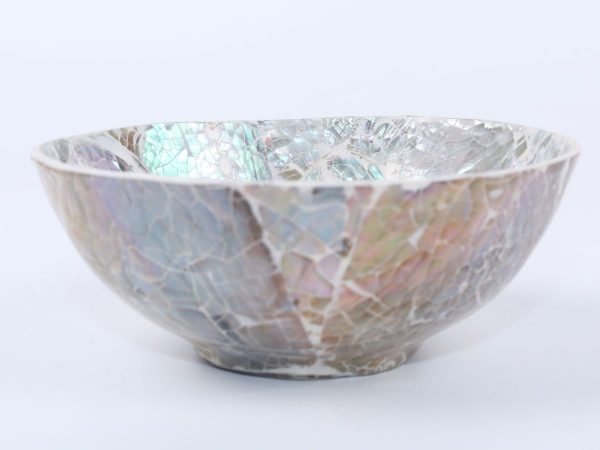 Resin and sea shell Bowl