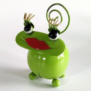 Princes Frog