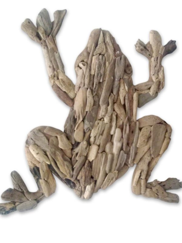 Frog Wall decoration