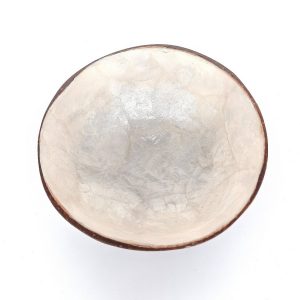 Coconut bowl laminated with shell