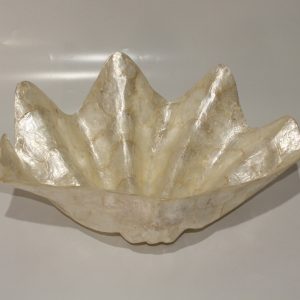 Large Shell of Capiz oyster shells