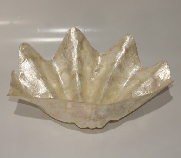 Large Shell of Capiz oyster shells