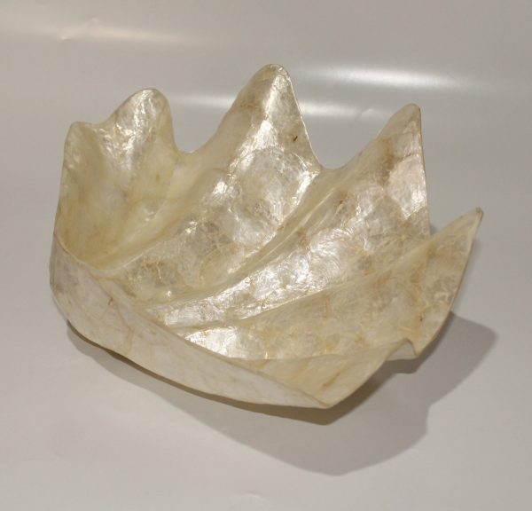 Large Shell of Capiz oyster shells
