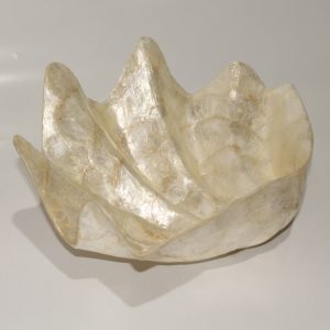 Large Shell of Capiz oyster shells