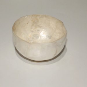 Small Shell bowl