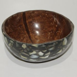 Coconut bowl with shell outside