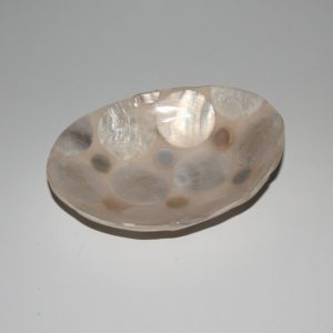 Shell Dip Tray