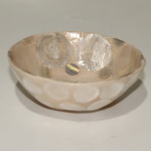 Shell Bowl