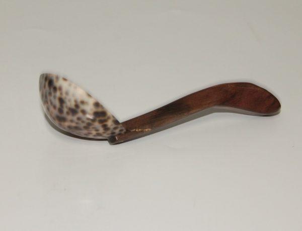 Shell spoon