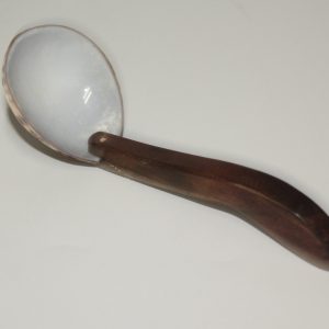 Shell spoonShell spoon