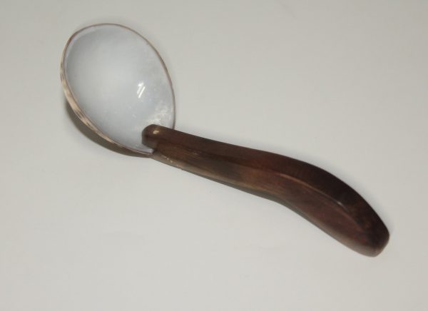 Shell spoon