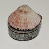 Jewelry box with shell