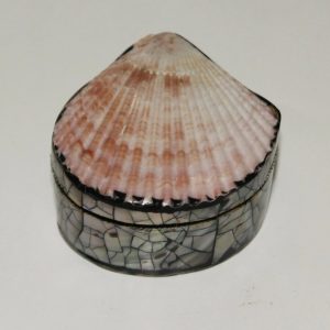 Jewelry box with shellJewelry box with shell