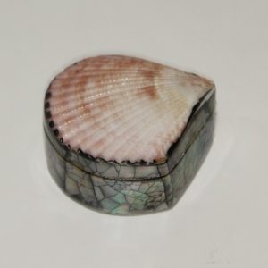 Jewelry box with shell