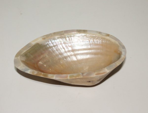 Shell Sauce Tray