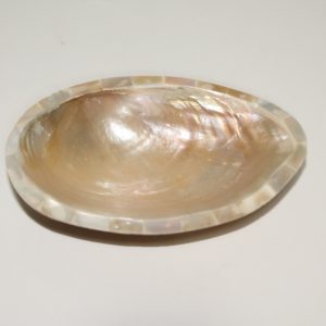 Shell Sauce Tray