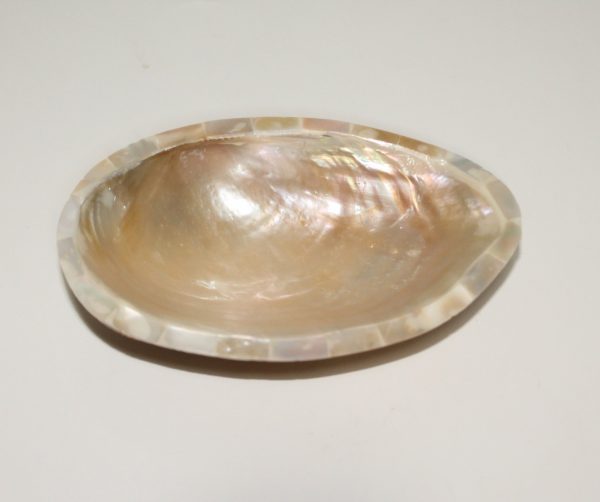 Shell Sauce Tray