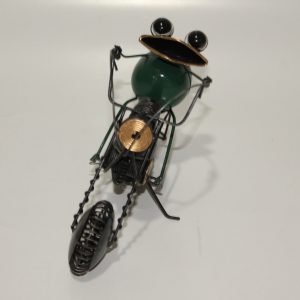 Frog on Bike