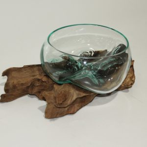 Glass Bowl on driftwood