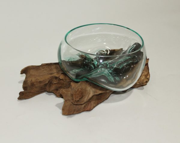 Glass Bowl on driftwood