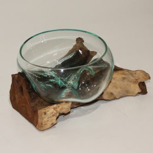 Glass Bowl on driftwood