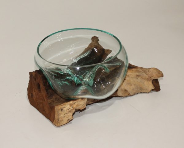 Glass Bowl on driftwood