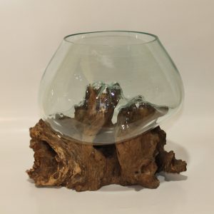 Glass Bowl on driftwood