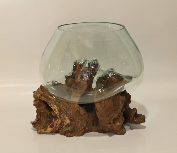 Glass Bowl on driftwood