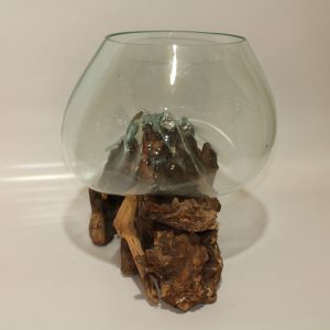 Glass Bowl on driftwood