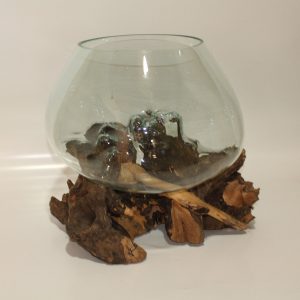 Glass Bowl on driftwoodGlass Bowl on driftwood